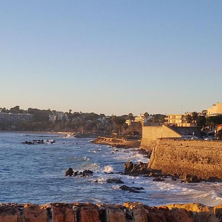 Appartamento La Tourraque Antibes Esterno foto